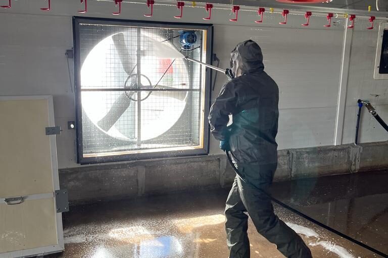 Servicio de limpieza a fondo de granjas