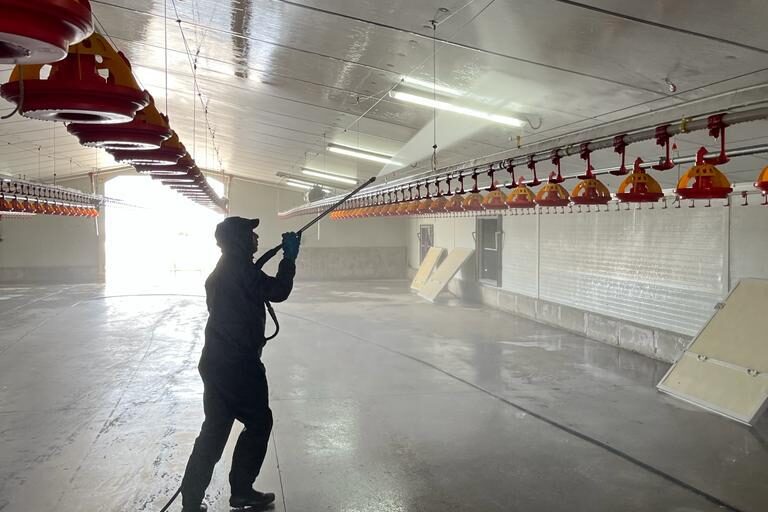 Servicios de limpieza y desinfección de granjas