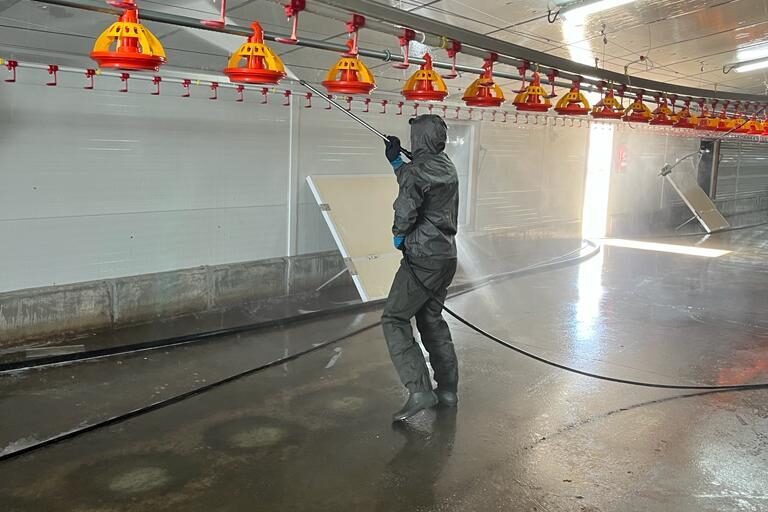 Servicios de limpieza de granjas Grupo Masjove