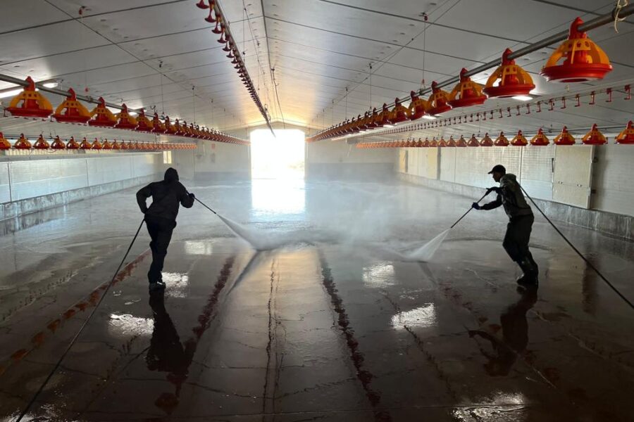 Servicios de limpieza de granjas