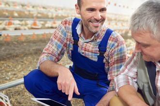 Empresa dedicada a los trabajos avícolas